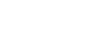 VICENTINI.png